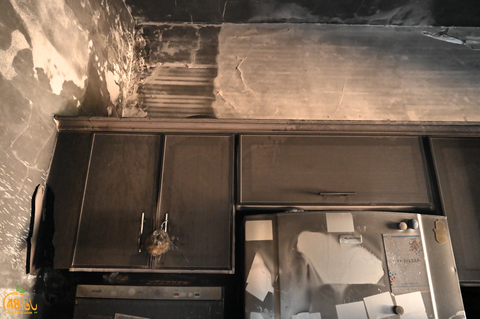 WhatsApp Image 2023-08-03 at 6.55.52 PM (3).jpeg